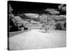 Infrared Photograph Of The Natchez Trace Parkway, Mississippi-Carol Highsmith-Stretched Canvas