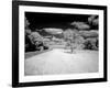 Infrared Photograph Of The Natchez Trace Parkway, Mississippi-Carol Highsmith-Framed Art Print