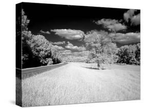 Infrared Photograph Of The Natchez Trace Parkway, Mississippi-Carol Highsmith-Stretched Canvas