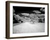 Infrared Photograph Of The Natchez Trace Parkway, Mississippi-Carol Highsmith-Framed Art Print