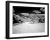 Infrared Photograph Of The Natchez Trace Parkway, Mississippi-Carol Highsmith-Framed Art Print