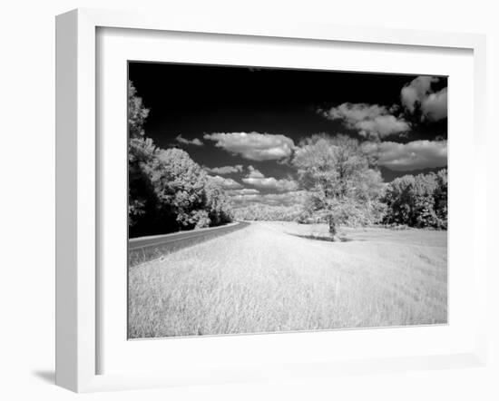 Infrared Photograph Of The Natchez Trace Parkway, Mississippi-Carol Highsmith-Framed Art Print