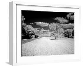 Infrared Photograph Of The Natchez Trace Parkway, Mississippi-Carol Highsmith-Framed Art Print