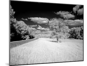 Infrared Photograph Of The Natchez Trace Parkway, Mississippi-Carol Highsmith-Mounted Art Print