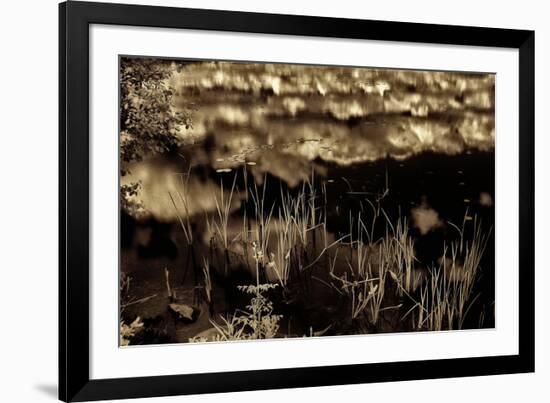 Infrared Pond 3-Jean-François Dupuis-Framed Art Print