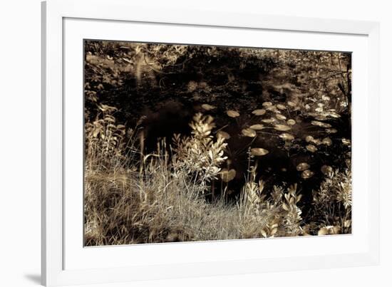 Infrared Pond 4-Jean-François Dupuis-Framed Art Print