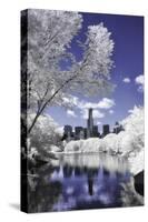 Infrared Reflections at Central Park-Vincent James-Stretched Canvas