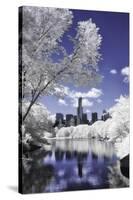 Infrared Reflections at Central Park-Vincent James-Stretched Canvas