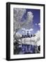 Infrared Reflections at Central Park-Vincent James-Framed Photographic Print