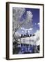 Infrared Reflections at Central Park-Vincent James-Framed Photographic Print