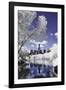 Infrared Reflections at Central Park-Vincent James-Framed Photographic Print