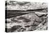 Infrared Reflections-Lee Peterson-Stretched Canvas