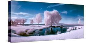 Infrared Scene of a Pond and Trees on a Beautiful Sunny Day-paulacobleigh-Stretched Canvas
