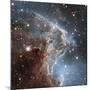 Infrared View of NGC 2174-null-Mounted Art Print
