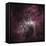 Infrared View of the Carina Nebula-null-Framed Stretched Canvas