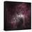 Infrared View of the Carina Nebula-null-Framed Stretched Canvas