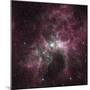 Infrared View of the Carina Nebula-null-Mounted Photographic Print