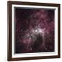 Infrared View of the Carina Nebula-null-Framed Photographic Print