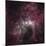 Infrared View of the Carina Nebula-null-Mounted Photographic Print