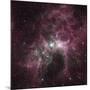 Infrared View of the Carina Nebula-null-Mounted Photographic Print