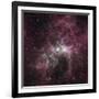 Infrared View of the Carina Nebula-null-Framed Photographic Print