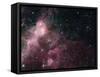 Infrared View Showing the Birth and Death of Stars-null-Framed Stretched Canvas
