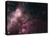 Infrared View Showing the Birth and Death of Stars-null-Stretched Canvas