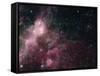 Infrared View Showing the Birth and Death of Stars-null-Framed Stretched Canvas
