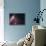 Infrared View Showing the Birth and Death of Stars-null-Stretched Canvas displayed on a wall