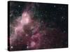 Infrared View Showing the Birth and Death of Stars-null-Stretched Canvas