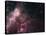 Infrared View Showing the Birth and Death of Stars-null-Stretched Canvas