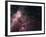 Infrared View Showing the Birth and Death of Stars-null-Framed Photographic Print