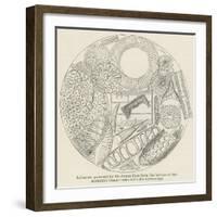 Infusoria Procured by Sir James Ross from the Bottom of the Antarctic Ocean-null-Framed Giclee Print