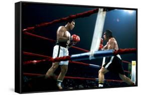 Ing Game Between Mohammed Ali and Alfredo Evanglista in Washington May 16, 1977-null-Framed Stretched Canvas