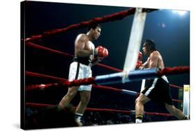 Ing Game Between Mohammed Ali and Alfredo Evanglista in Washington May 16, 1977-null-Stretched Canvas