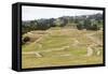 Ingapirca, Inca ruins, Ecuador, South America-Peter Groenendijk-Framed Stretched Canvas