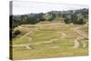 Ingapirca, Inca ruins, Ecuador, South America-Peter Groenendijk-Stretched Canvas