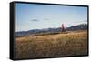 Inge Perkins Out For A Winter Sunset Run On Triple Tree Trail, Bozeman, Montana. Bridger Range Bkgd-Louis Arevalo-Framed Stretched Canvas