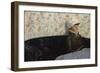 Ingeborg on the Sofa, Sando, 1882 oil on panel-Carl-Edvard Diriks-Framed Giclee Print