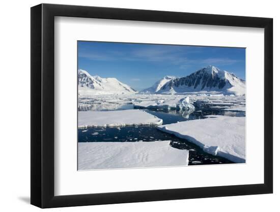 Premium Photographic Print, , large