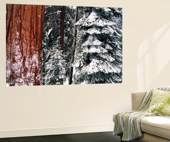 Giant Art Print, , large