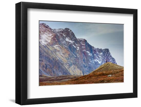 Premium Photographic Print, , large
