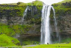 Iceland. Vik I Myrdal. Stream Running Through Field of Wildflowers-Inger Hogstrom-Photographic Print