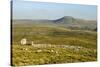 Ingleborough-Tony Waltham-Stretched Canvas