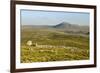 Ingleborough-Tony Waltham-Framed Photographic Print