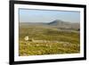 Ingleborough-Tony Waltham-Framed Photographic Print