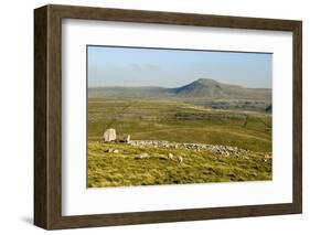 Ingleborough-Tony Waltham-Framed Photographic Print