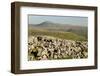 Ingleborough-Tony Waltham-Framed Photographic Print