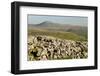 Ingleborough-Tony Waltham-Framed Photographic Print