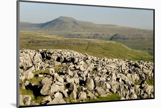 Ingleborough-Tony Waltham-Mounted Photographic Print